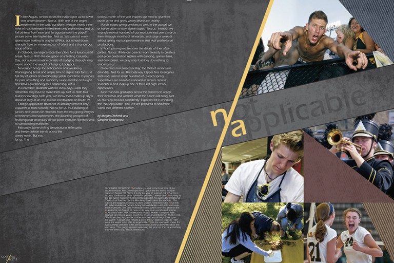 2014 <em>Safari</em> image 4