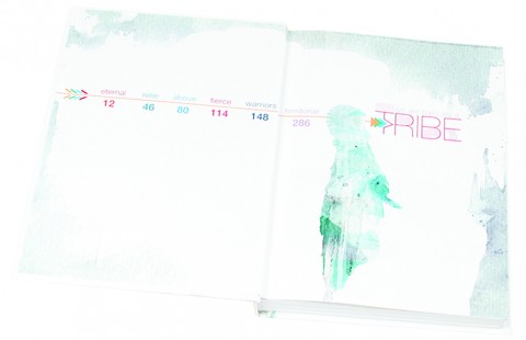 2014 <em>Phoenix</em> image 2