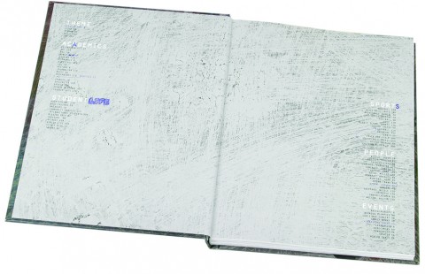 2014 <em>Wings</em> image 2