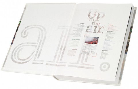 2015 <em>Lair</em> image 2