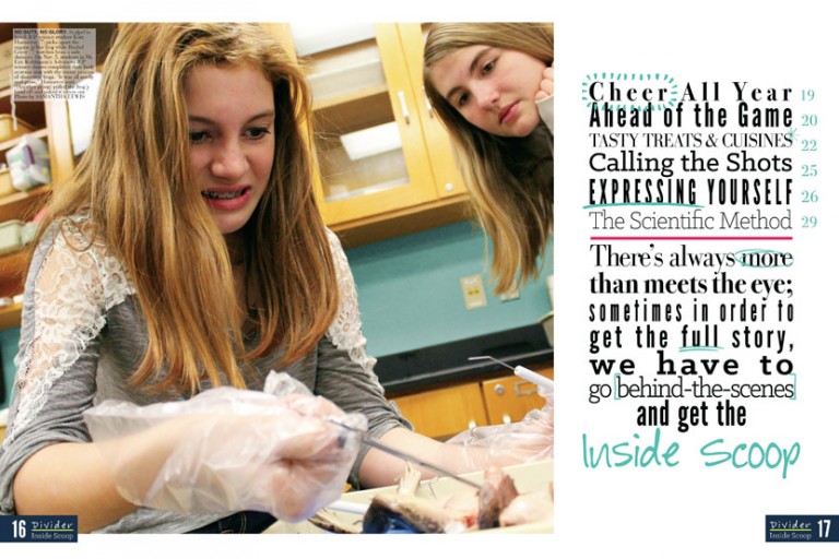 2015 <em>The Scrapbook</em> image 6