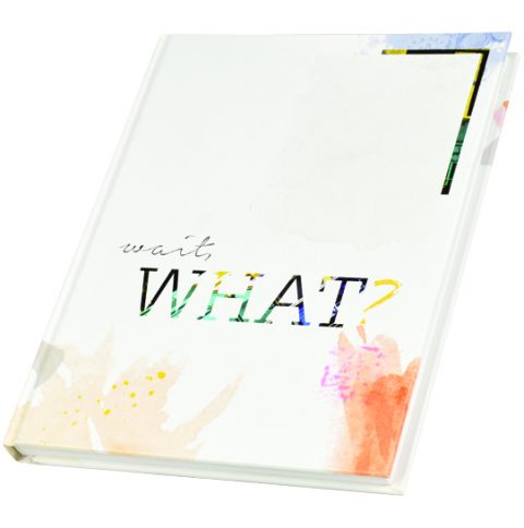 2016 <em>Wings</em> image 1