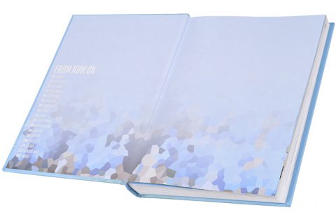 2017 <em>Hauberk</em> image 2