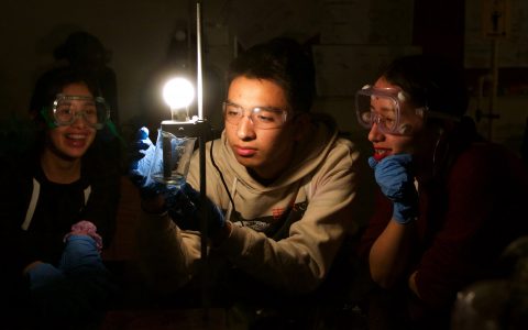 Academics – Damian Martinez