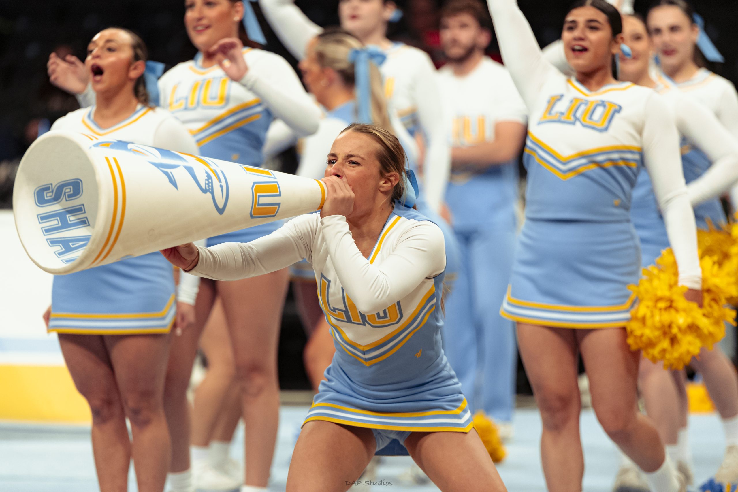 Anton Zaky_Long Island University