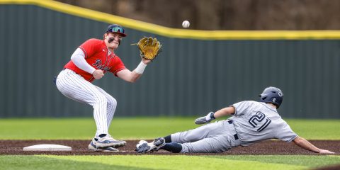 Honorable Mention – Hob Carleton